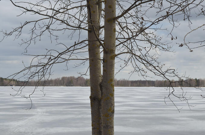 in the way in the way