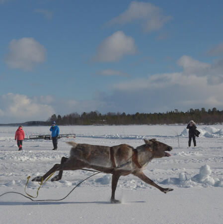 slip out of the hand slip out of the hand